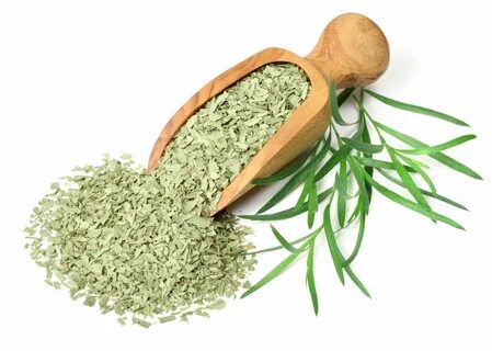 تصویر 2 از لیست به روز قیمت سبزی ترخون خشک + خرید عمده